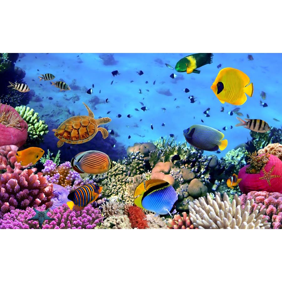 Tranh Dán Tường Hoạt Hình Thế Giới Đại Dương 3D chất liệu chống thấm nước