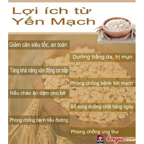 1KG Yến mạch Hafer cán dẹp (yến mạch tươi ) cuả Đức