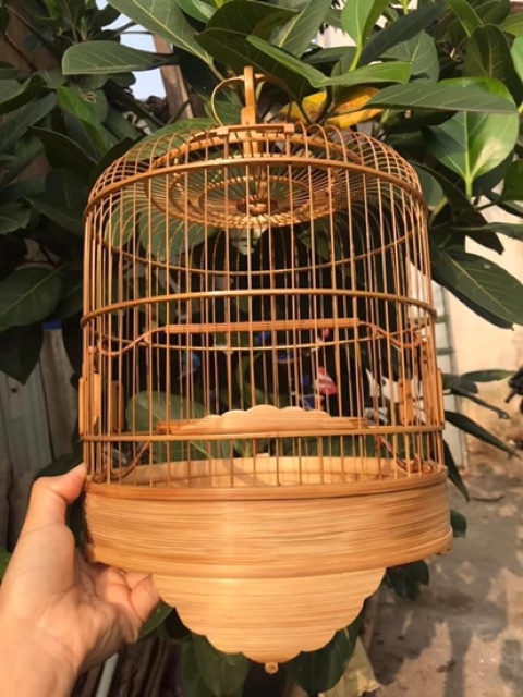 LỒNG KHUYÊN TRE ĐẸP// SIZE 26*30