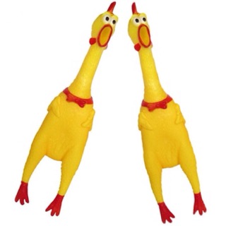 Gà bóp kêu Shrilling Chicken, gà A Lử