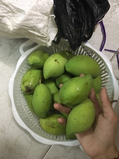 Xoài non ngon 1kg