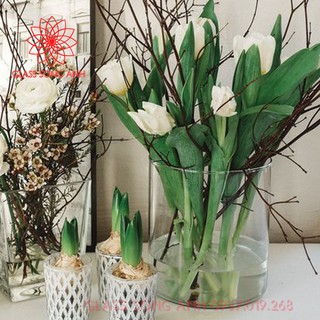 Bình bông thủy tinh trang trí D20x30, Bình cắm hoa thủy tinh trụ, lọ hoa hình trụ, trụ đổ đèn cầy, ống trụ tròn
