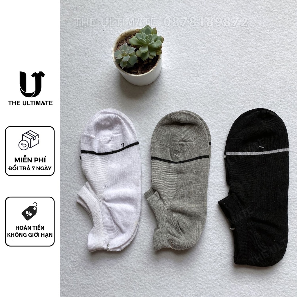 Tất cotton nữ Hàn Quốc 3 màu mềm mịn đàn hồi co giãn thoải mái êm chân The Ultimate