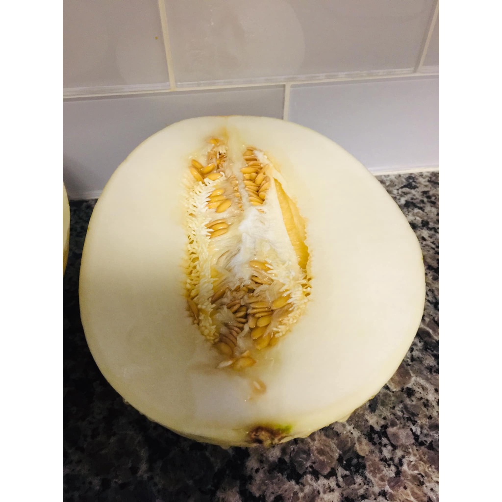 Hạt Giống Dưa Lê hàn quốc- dưa lê ánh sao silver star QUÝ HIẾM  ( tặng kèm thuốc kích mầm ra rễ)