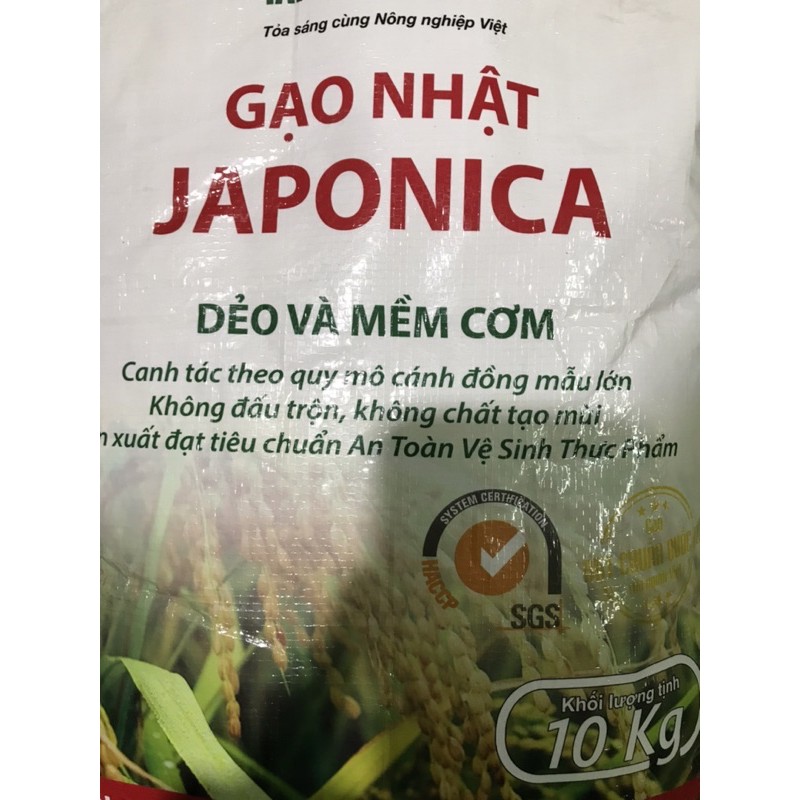 Gạo Nhật JAPONICA bao 10kg bán sỉ ở Hà Nội cơm dẻo và mềm. hàng công ty có hoá đơn đỏ nếu bạn cần | BigBuy360 - bigbuy360.vn