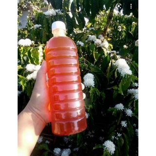 Mật ong hoa Caphe Nguyên Chất tây nguyên