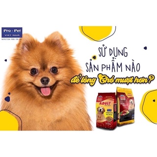 Thức ăn cho chó lớn propet 400gr