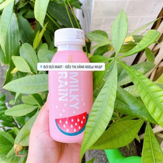 🍉🍓❄️Nước sữa chua Milky Rain🍉🍓❄️