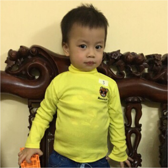 áo cotton len cổ 3 phân (ảnh thật tự chụp)