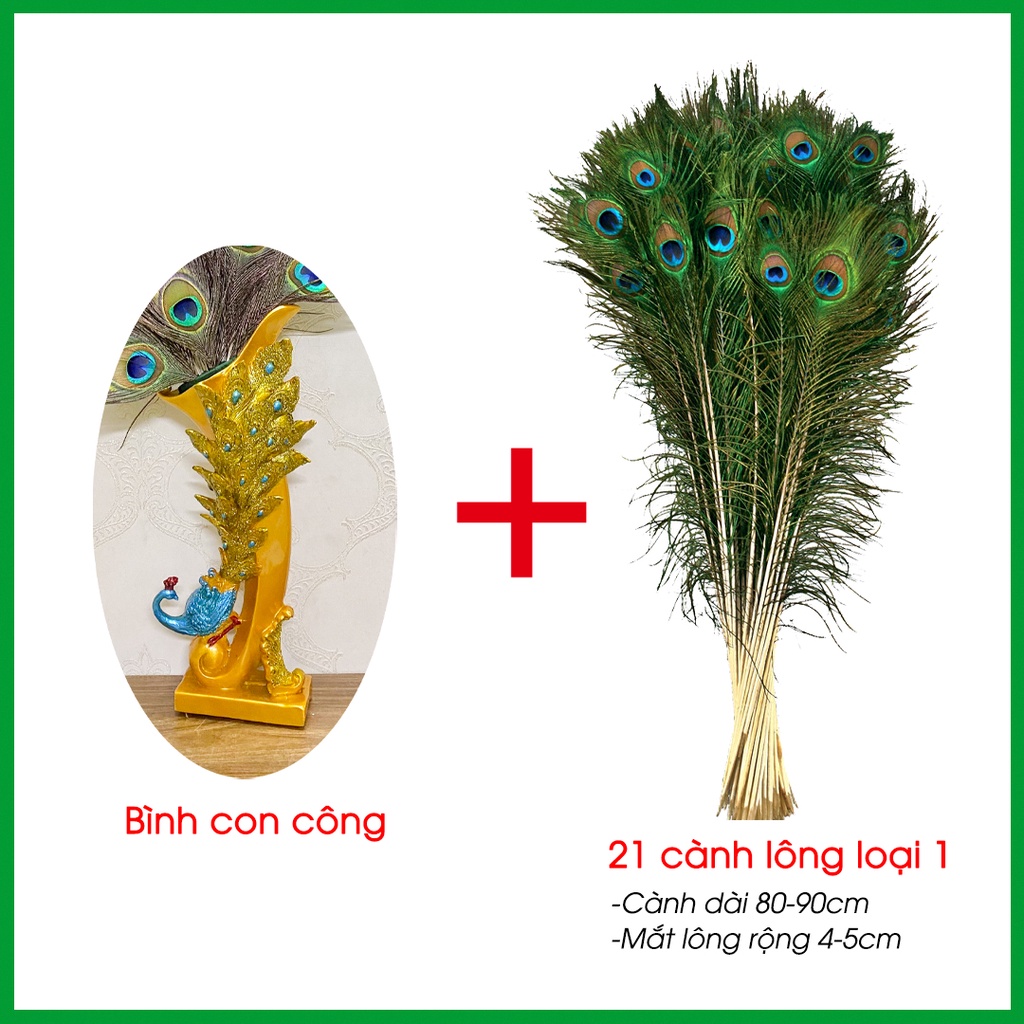 Bình con công cắm 21 cành lông công phong thủy mắt to 4-6cm