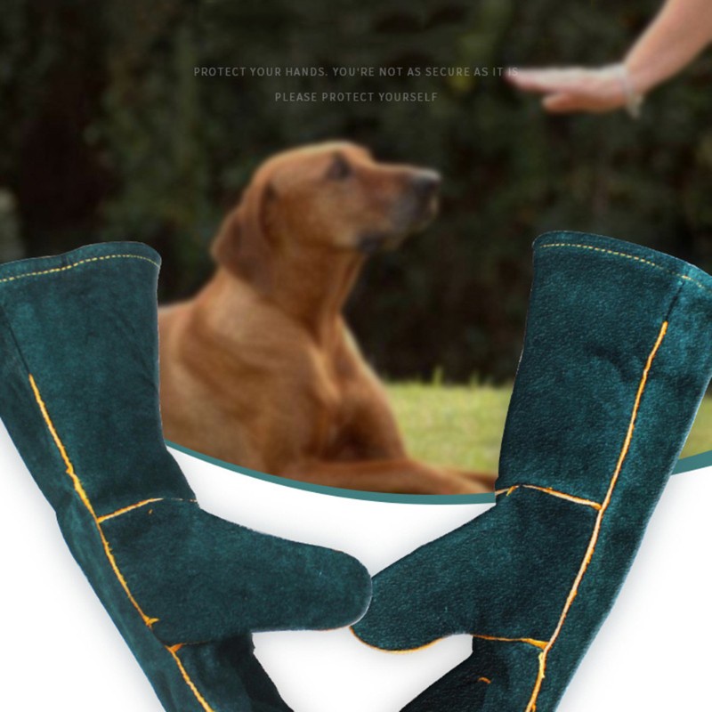 Găng tay bảo vệ chống cắn cho thú cưng/ bò sát