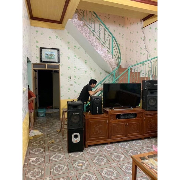 Xốp dán tường hoa văn lá Thường Xuân, kit ty, bồ công anh, hoa văn