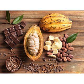 BƠ CACAO PURATOS 100G