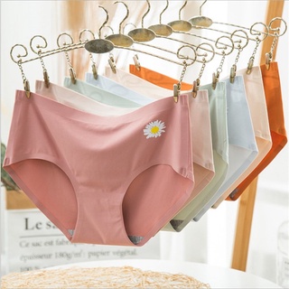 [Giao Hàng Ngẫu Nhiên] Quần Lót Cotton Màu Kẹo Thời Trang Một Kích Cỡ Cho Nữ