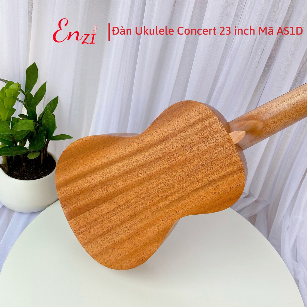 Đàn ukulele concert AS1D Enzi 23 inch gỗ mộc viền chim công khóa đúc giá rẻ cho bạn mới bắt đầu tập chơi