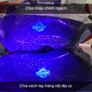 Hạt Chia đen Absolute Organic 1kg