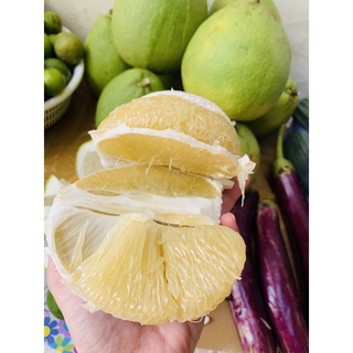 BƯỞI 5 ROI [trái 1kg đến 1.3kg]