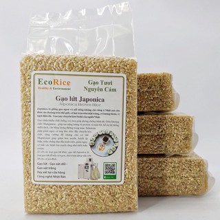 Gạo Lứt Hữu Cơ Japonica-An Food (túi 1 kg hút chân không)
