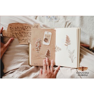 STICKER CỎ DẠI GIẤY MATTE- bộ sticker 60 miếng