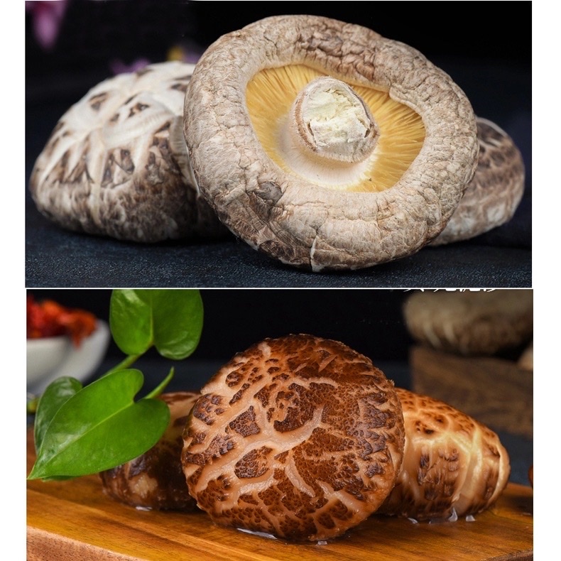 Nấm Đông Cô Trắng Nhật Bản 500g