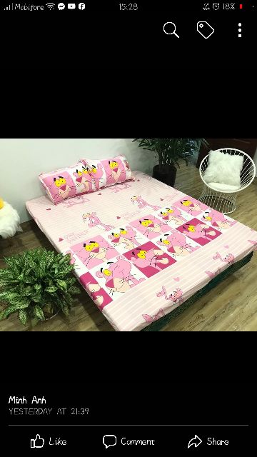 Set Ga gối