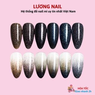 Sơn gel AS sơn móng tay gel sơn nhũ flash 15ml mã LP
