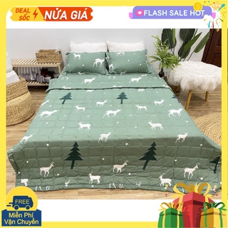 Bộ ga gối drap 1m2,1m6,1m8 cotton poly vikona mã 15
