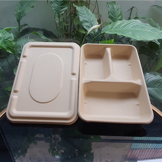 50 Hộp bã mía 3 ngăn nắp bã mía (225*175*40)