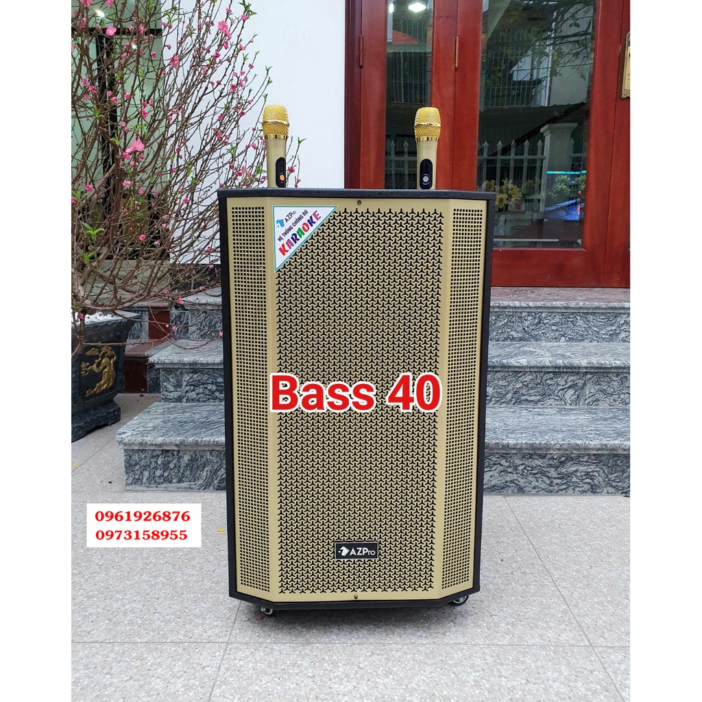 Loa Kéo AZPRO 1508 Bass 40