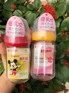 Bình sữa pigeon nội địa nhật 160ml/240ml