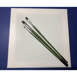 COMBO VẼ MÀU ACRYLIC (cho người mới bắt đầu)