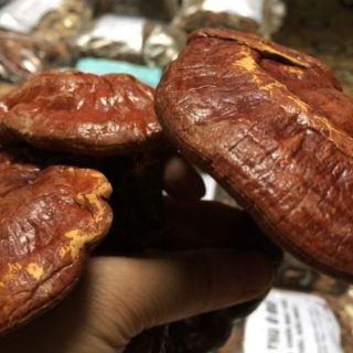Sỉ toàn quốc giá rẻ nấm linh chi đỏ 500g - 1kg