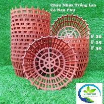 Chậu Nhựa Trồng Lan, Chậu Lan Nan Phụ ( Lan Que) PHI 20, PHI 25, PHI 30