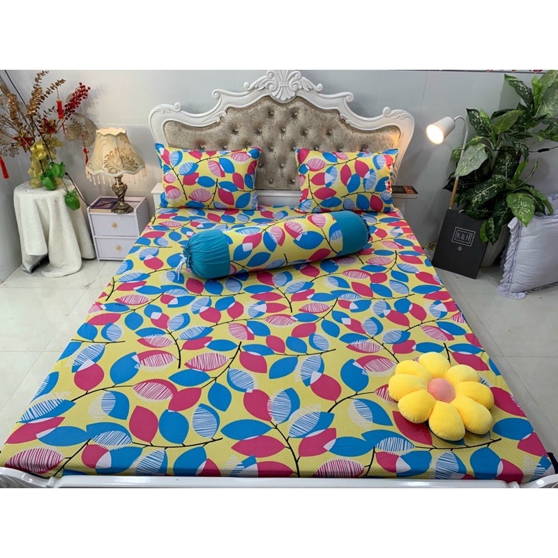 Bộ drap thun hàn quốc mẫu lá phối 6 màu siêu đẹp