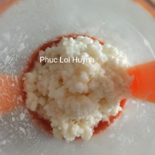 Nấm sữa kefir