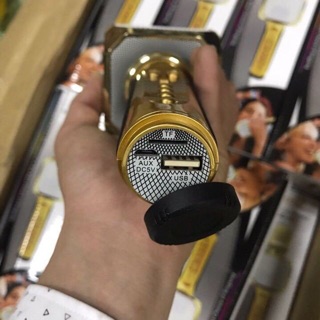 Mic hát sd10