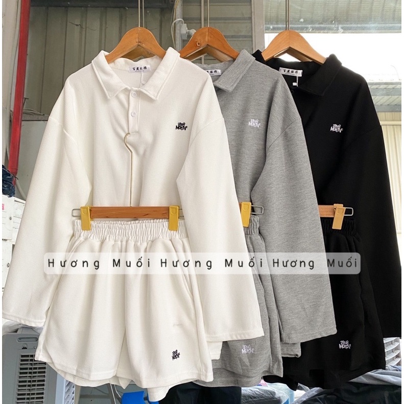Bộ áo polo dài tay kèm quần shorts thêu chữ