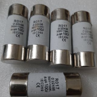 Cầu chì sứ 100A 22x58