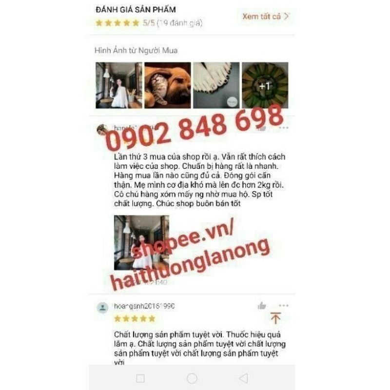 Trùng thảo sâm nhung (kèm viên đen) Tăng cân cho người gầy | BigBuy360 - bigbuy360.vn