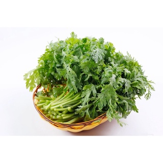 THBB 20GR - HẠT GIỐNG RAU TẦN Ô HGNTD