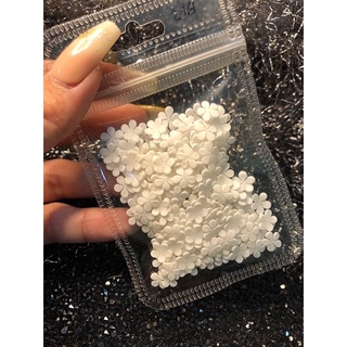 Hoa mai đơn - Hoa bột nail