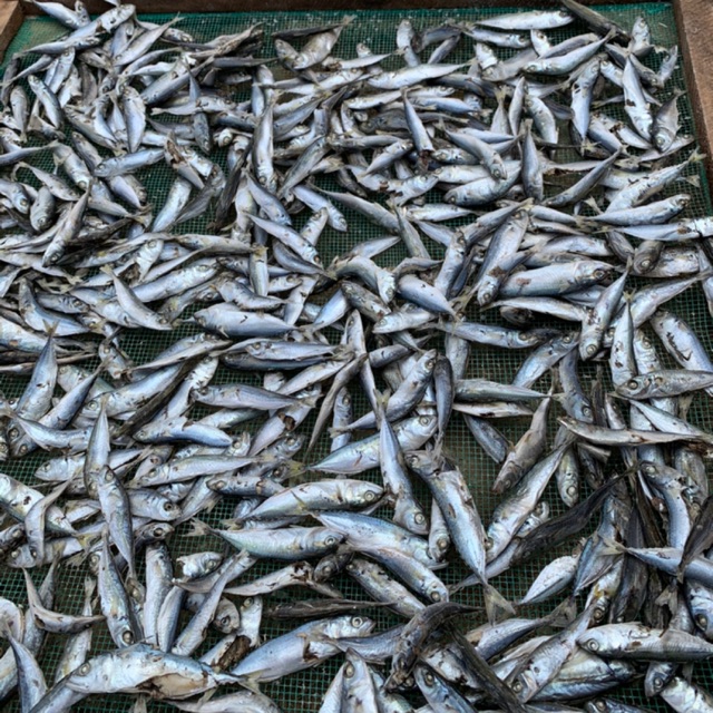 CÁ BẠC MÁ HẤP KHÔ