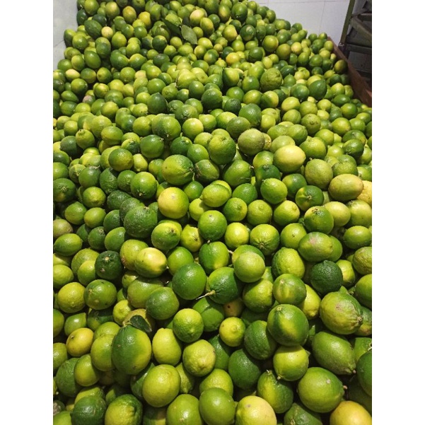 Chanh không hạt Tươi nguyên trái nhà trồng combo 5kg