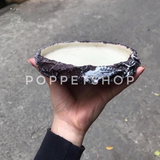 Máng ăn dành cho rùa