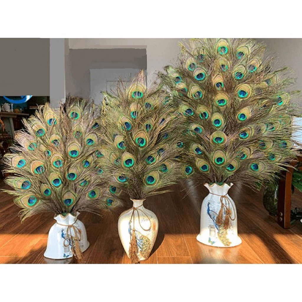 Lông công phong thủy LEVAN vượng khí, cầu tài, cầu lộc chiều dài 28-80cm | BigBuy360 - bigbuy360.vn