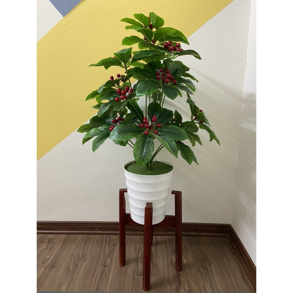 cây cherry (kim ngân lượng) cao 80cm - cây giả