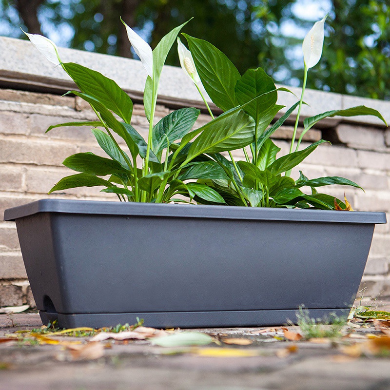 Set 2 hộp trồng cây tự tưới hình chữ nhật trang trí nhà cửa