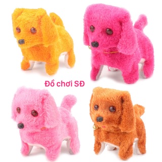 Chó con biết đi -1 con