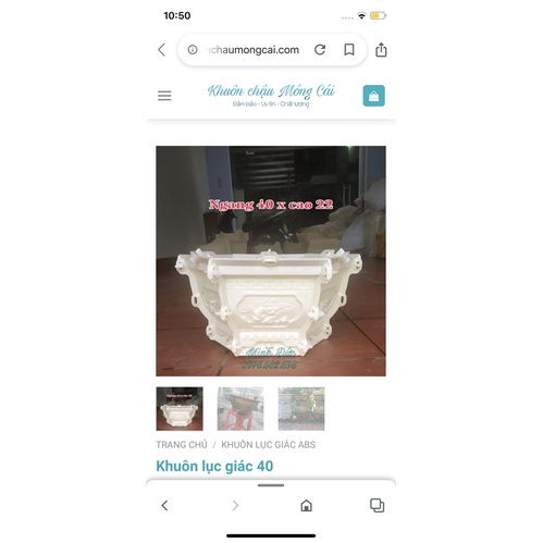 khuôn chậu lục giác 40