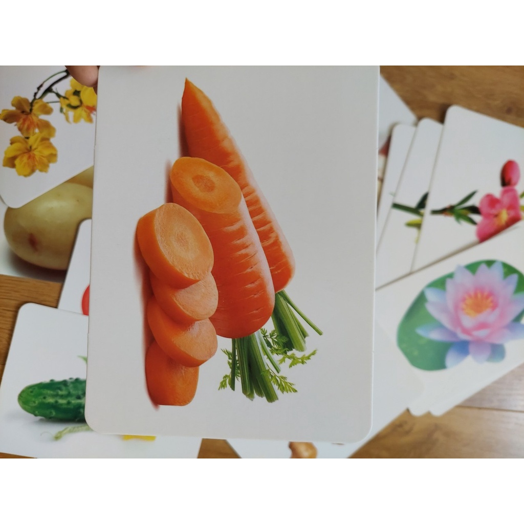Thẻ học thông minh kích thước lớn 12x16cm chủ đề rau củ và hoa -  Flashcard TGXQ Glenn doman chuẩn